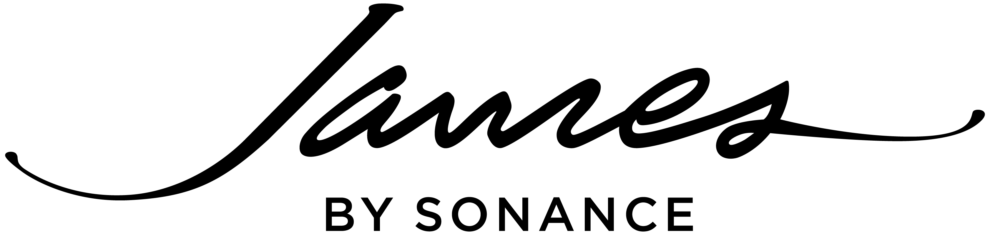 James Loudspeaker logo - system experience
